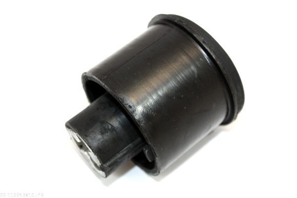 AUTOMEGA 110043810 Bushing, axle beam