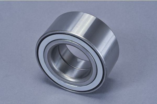 AUTOMEGA 110059910 Wheel Bearing