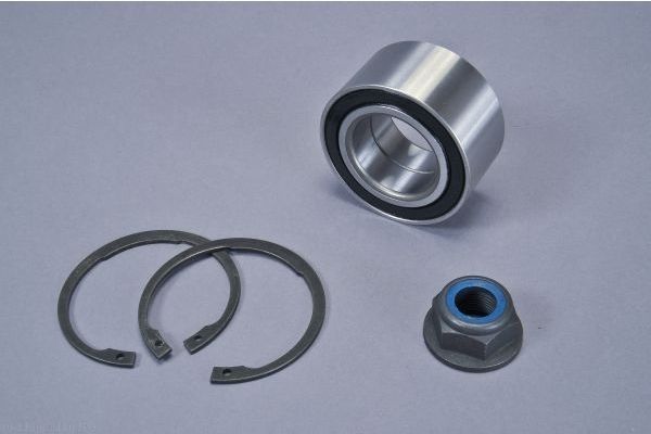 AUTOMEGA 110083110 Wheel Bearing Kit