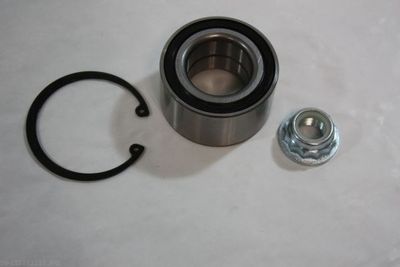 Wheel Bearing Kit AUTOMEGA 110083210