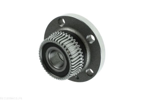 AUTOMEGA 110098510 Wheel Bearing Kit