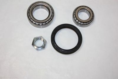 Wheel Bearing Kit AUTOMEGA 110123810