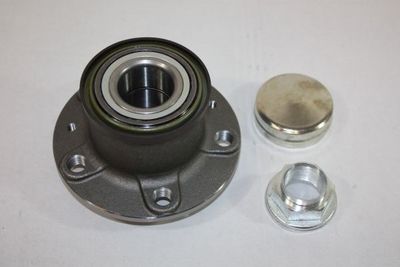 Wheel Hub AUTOMEGA 110128610