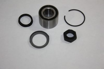 Wheel Bearing Kit AUTOMEGA 110129710