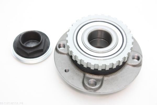 AUTOMEGA 110130110 Wheel Bearing Kit