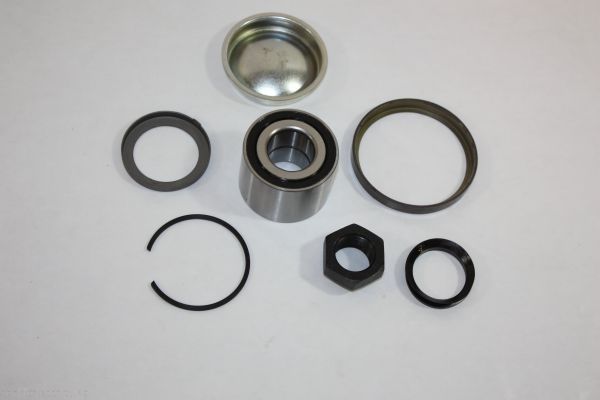 AUTOMEGA 110130910 Wheel Bearing Kit