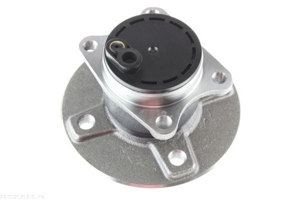 AUTOMEGA 110131310 Wheel Hub