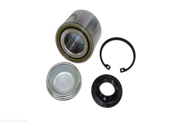 AUTOMEGA 110131710 Wheel Bearing Kit