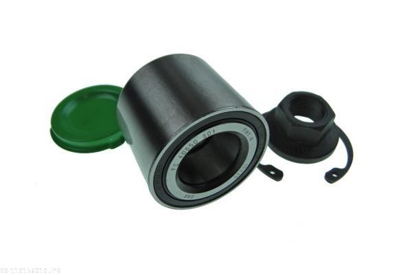 AUTOMEGA 110156010 Wheel Bearing Kit