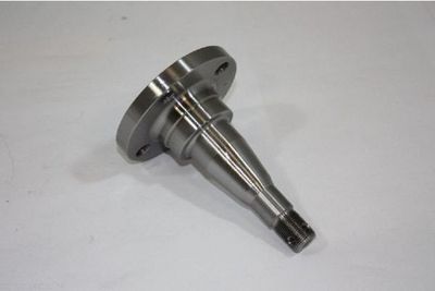 Stub Axle, axle beam AUTOMEGA 110178210