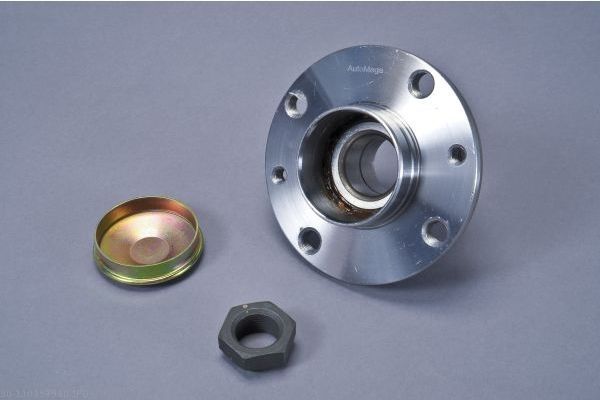 AUTOMEGA 110194910 Wheel Bearing Kit