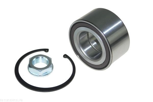 AUTOMEGA 110197210 Wheel Bearing Kit