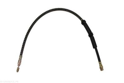Brake Hose AUTOMEGA 120026710
