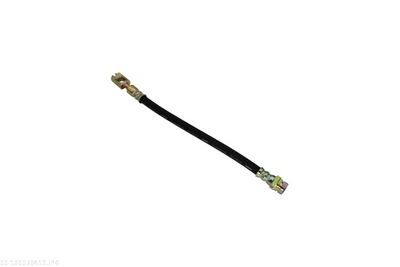 Brake Hose AUTOMEGA 120030410