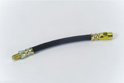 Brake Hose AUTOMEGA 120030910