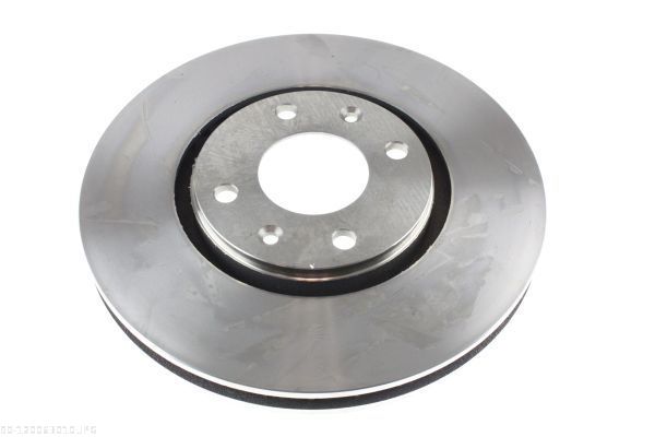 AUTOMEGA 120063010 Brake Disc