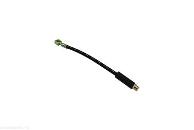 Brake Hose AUTOMEGA 120082010