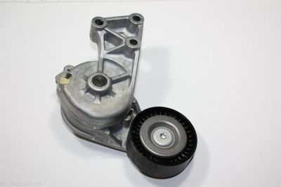 Tensioner Lever, V-ribbed belt AUTOMEGA 130015710