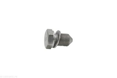Screw Plug, oil sump AUTOMEGA 130016310