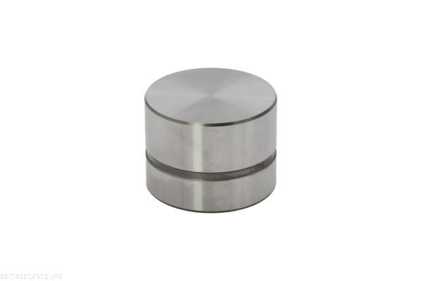 AUTOMEGA 130017510 Tappet