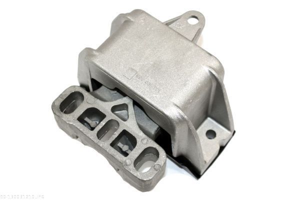AUTOMEGA 130031210 Mounting, engine