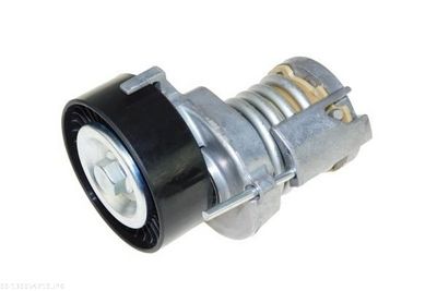 Tensioner Lever, V-ribbed belt AUTOMEGA 130054710