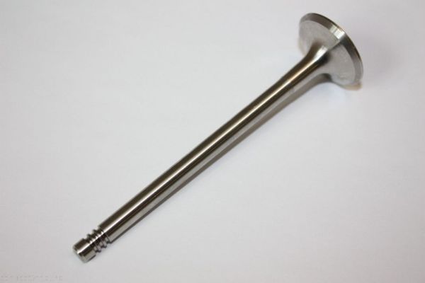 AUTOMEGA 130097110 Exhaust Valve