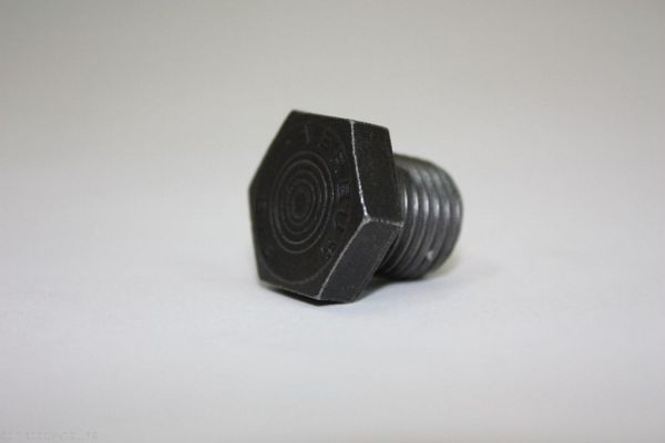 AUTOMEGA 130097510 Screw Plug, oil sump