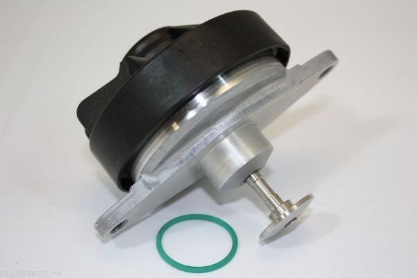 AUTOMEGA 130098910 EGR Valve