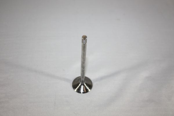 AUTOMEGA 130106910 Intake Valve