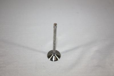 Intake Valve AUTOMEGA 130106910