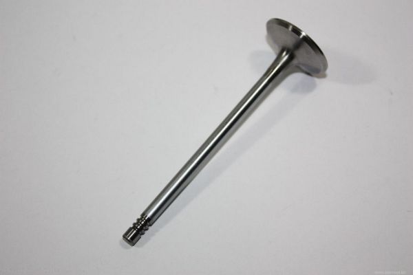 AUTOMEGA 130107310 Intake Valve