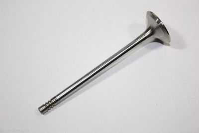 Exhaust Valve AUTOMEGA 130107410