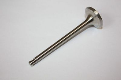 Exhaust Valve AUTOMEGA 130107610