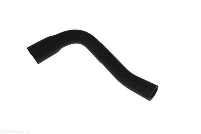 Hose, cylinder head cover ventilation AUTOMEGA 130109610