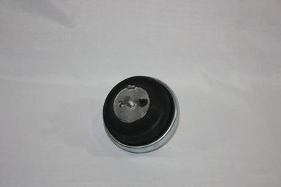 Mounting, engine AUTOMEGA 130111910