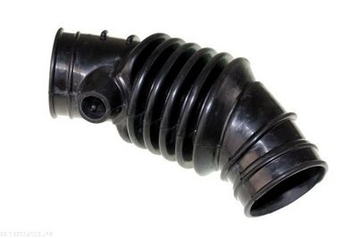 Intake Hose, air filter AUTOMEGA 130116110
