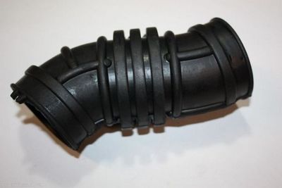 Intake Hose, air filter AUTOMEGA 130116410