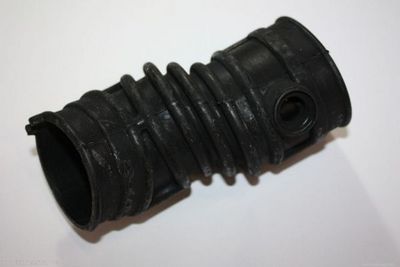 Intake Hose, air filter AUTOMEGA 130116610