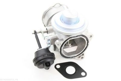 EGR Valve AUTOMEGA 140009910