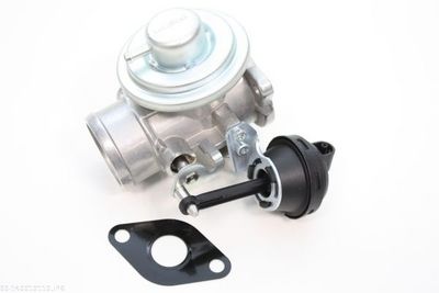 EGR Valve AUTOMEGA 140010110