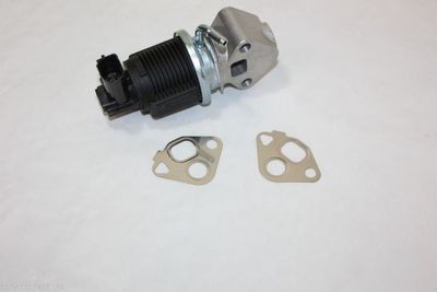 EGR Valve AUTOMEGA 140010810