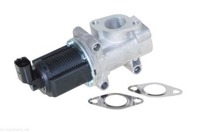 EGR Valve AUTOMEGA 140024410