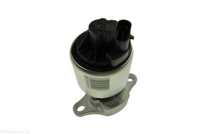EGR Valve AUTOMEGA 140026310