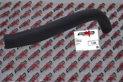 Vent Hose, fuel tank AUTOMEGA 140029910