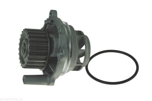AUTOMEGA 160007510 Water Pump, engine cooling
