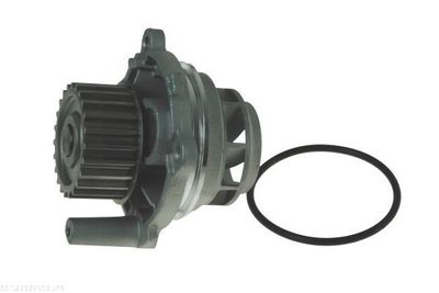 Water Pump, engine cooling AUTOMEGA 160007510