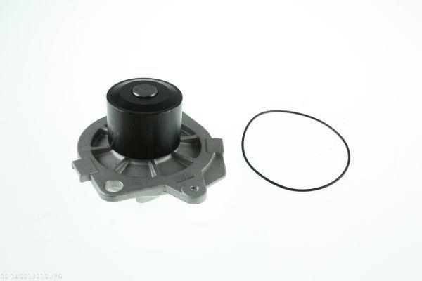 AUTOMEGA 160013210 Water Pump, engine cooling