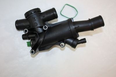 Thermostat, coolant AUTOMEGA 160025410
