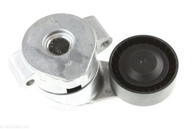 Tensioner Lever, V-ribbed belt AUTOMEGA 160025810